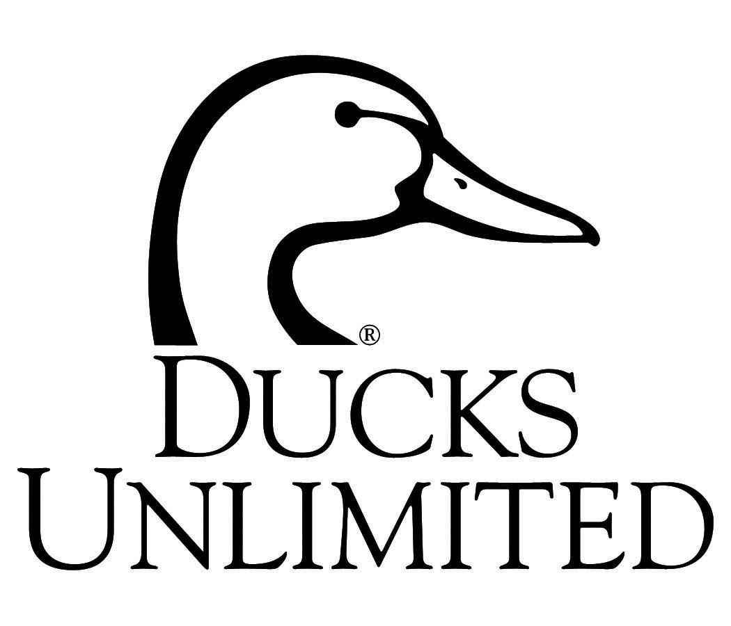 Texas Ducks Unlimited chapters make President's Elite list for conservation