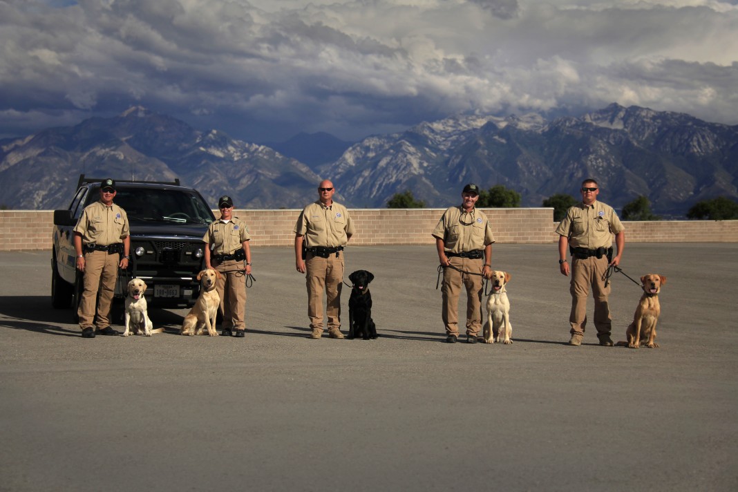 texas-game-wardens-add-k-9-team-to-statewide-operations