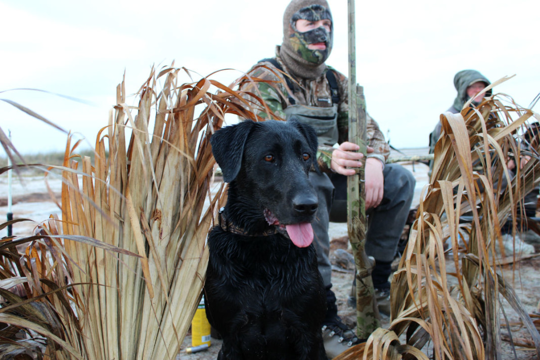 Baffin Bay proves that all of Texas is waterfowl country