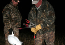 Hunting success relies on organization