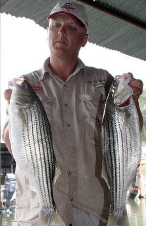 Texas fishing provides striped bass