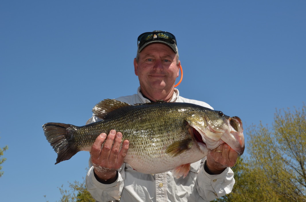 Toyota ShareLunker 547 was caught from Lake Fork on March 20