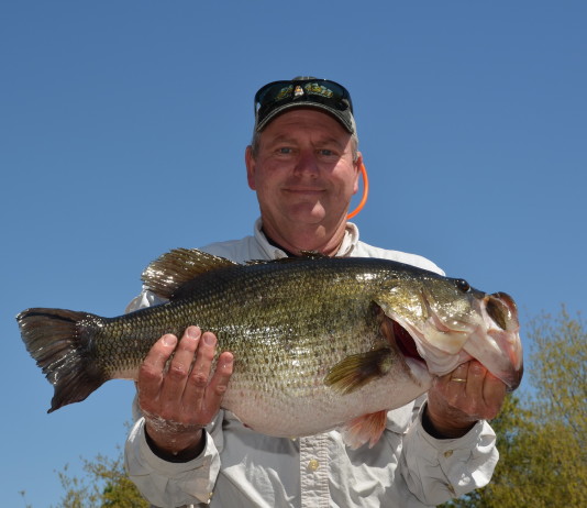 Toyota ShareLunker 547 was caught from Lake Fork on March 20