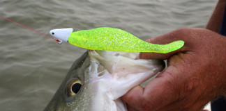 Varying fishing lure retrieves adds to angling success