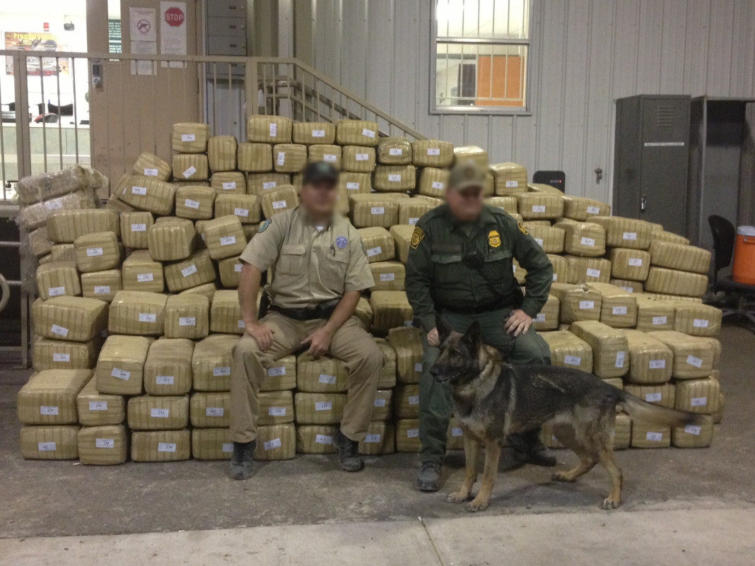 Game wardens seized marijuana worth roughly $4 million in South Texas