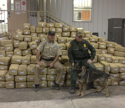 Game wardens seized marijuana worth roughly $4 million in South Texas