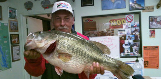 Texas’ bass fishing success rests almost solely on the efforts of biologists, who in the 1970s began stocking Florida largemouth fingerlings