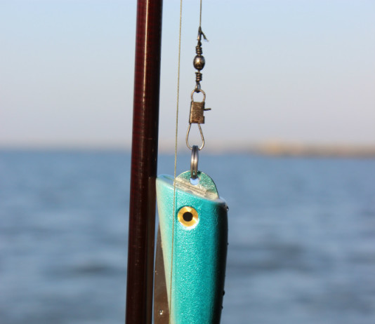 The design of the front causes the lure to dive when the rod tip is held down and rise when it’s raised.