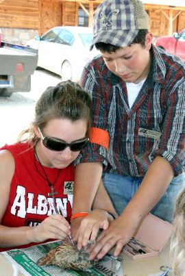 Texas' Bobwhite Brigade summer camps immerse youths into conservation