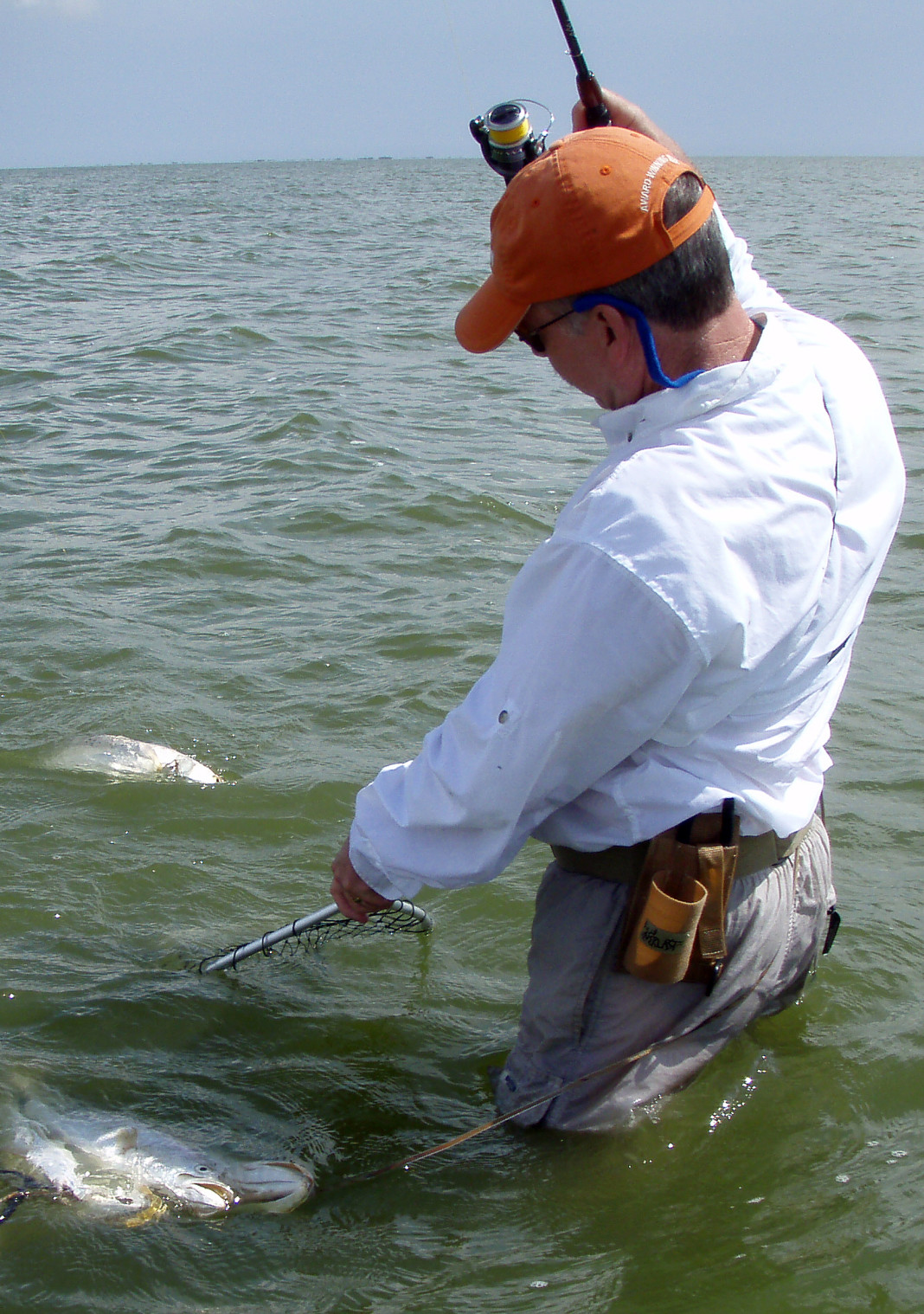 The limit for speckled trout across much of Texas is 10 fish per day between 15 and 25 inches.