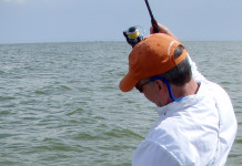 The limit for speckled trout across much of Texas is 10 fish per day between 15 and 25 inches.