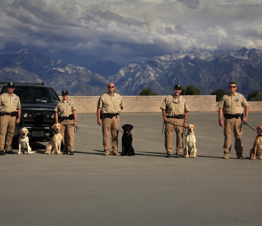 The dogs will be used for functions including detection of illegally taken or smuggled game and fish, search and rescue, cadaver search and narcotics enforcement.