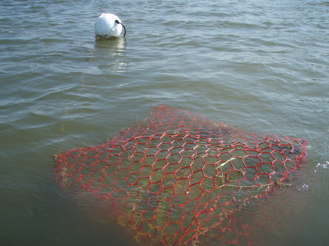 Texas Crab Trap Removal program set for 2014