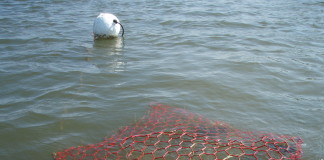 Texas Crab Trap Removal program set for 2014