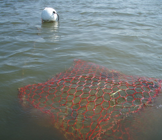 Texas Crab Trap Removal program set for 2014