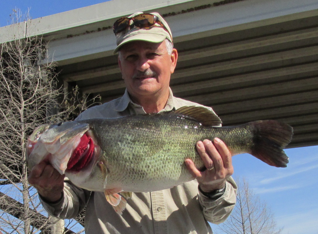 The fish was 27.28 inches long and 19.84 inches in girth.