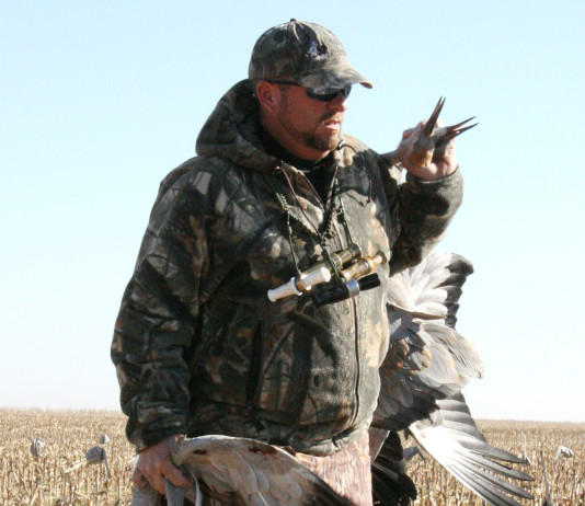 Sandhill cranes are dubbed "ribeyes in the sky" for their delicious eating.