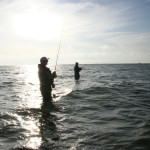 Ling a Rare Fishing Catch in Rockport