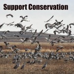 SupportConservation