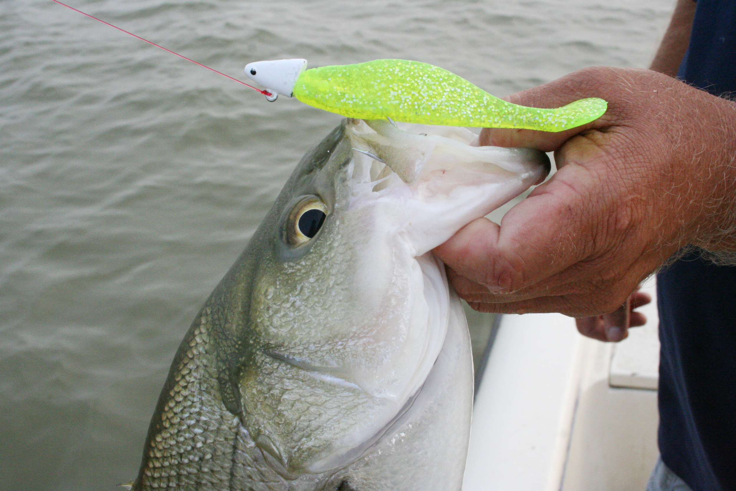 Calaveras Lake Trolling for Redfish 