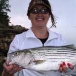 Texoma Striped Bass