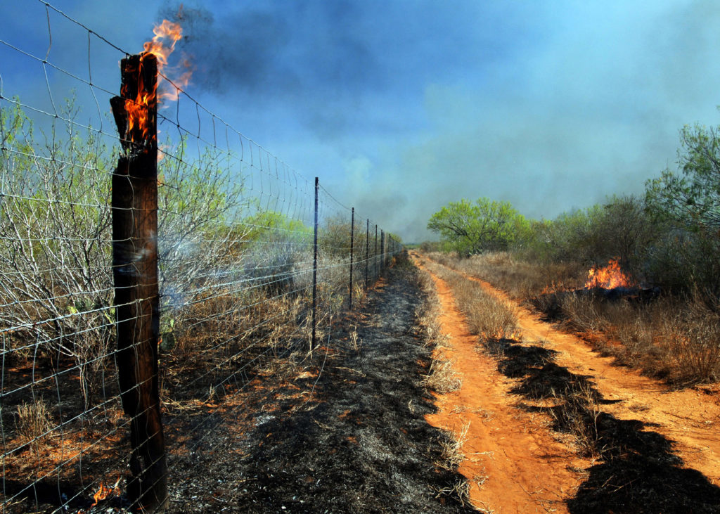 The Chaparral Wildlife Management Area was devastated by fire in 2008.