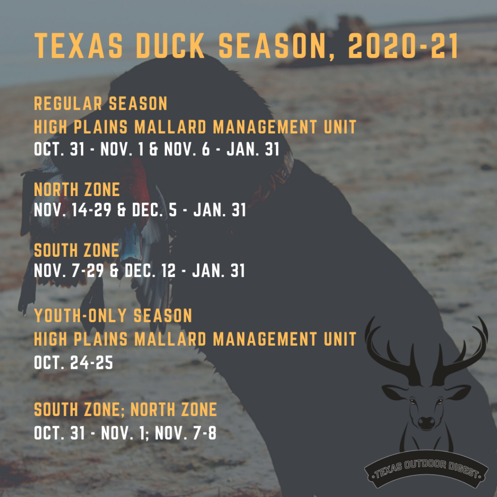 Duck Season 2024 Texas Helene Gilberte