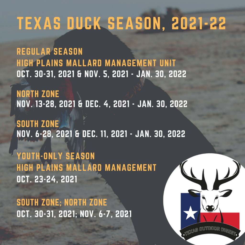 Texas duck hunting forecast shows uncertainty for waterfowl hunters