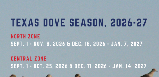 Texas dove hunting season dates for 2026-27