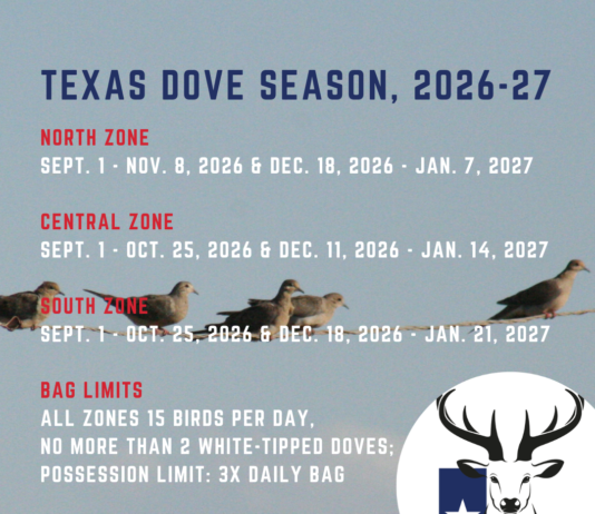 Texas dove hunting season dates for 2026-27