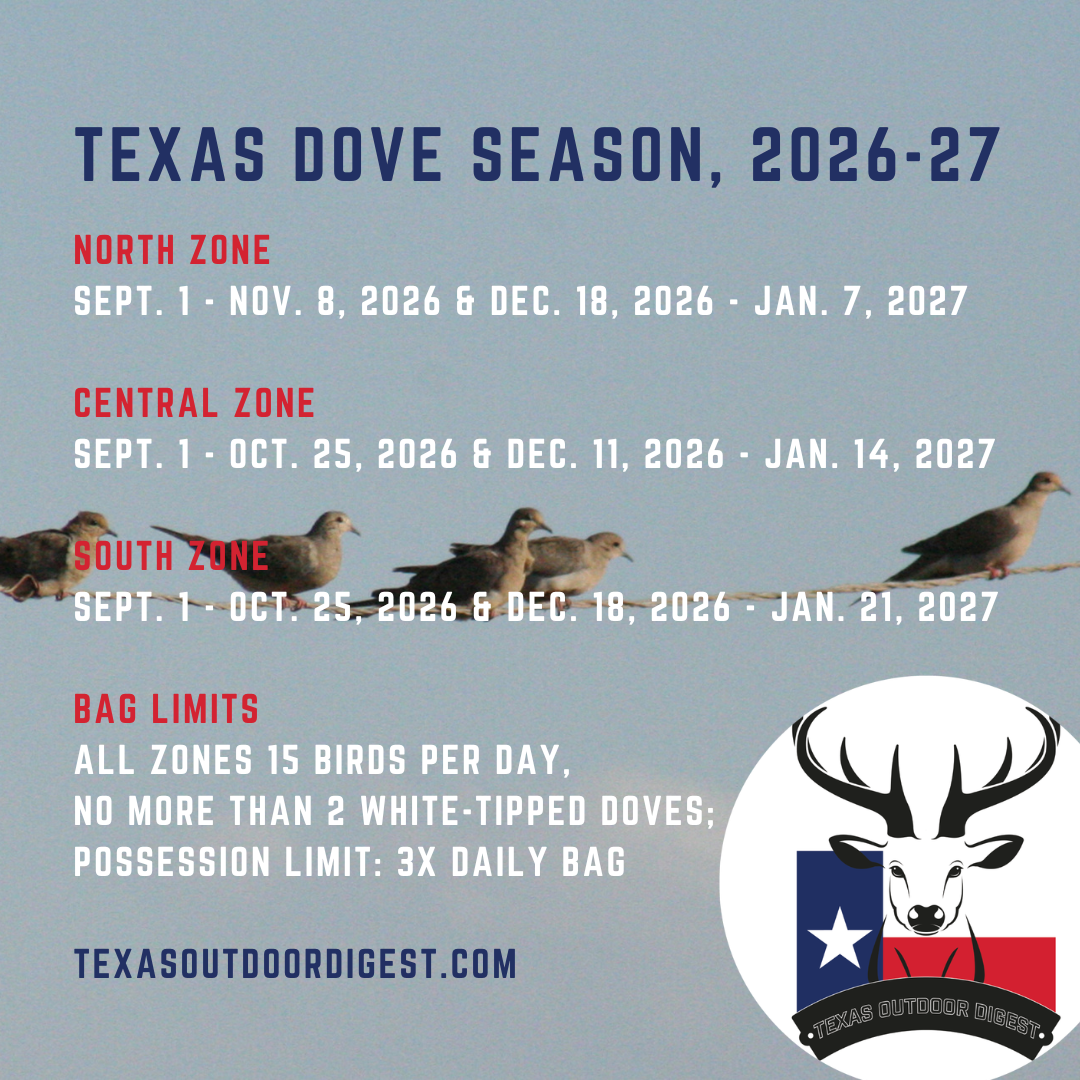 Texas dove hunting season dates for 2026-27